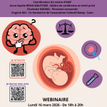 EGB 2026 : Analyse approfondie de l'AMP après l'événement
