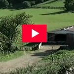 EHZ, un festival bon pour la santé