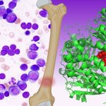Une enzyme dégradant l'insuline comme biomarqueur et cible thérapeutique dans le myélome multiple