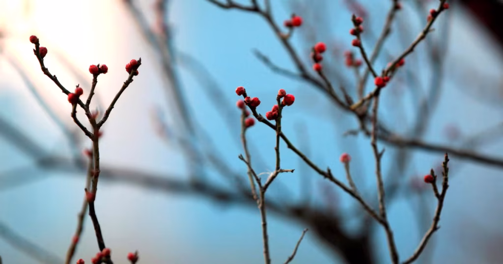 Image illustrant le contenu de l’article.