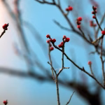 Image illustrant le contenu de l’article.