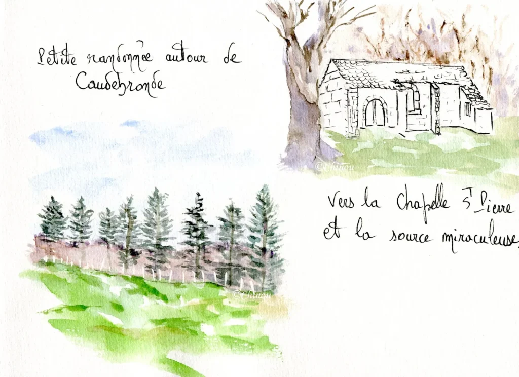 Un bout de chemin en Montagne Noire.