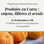 FemuQuì : la plateforme qui révolutionne l'accès à l'entrepreneuriat féminin