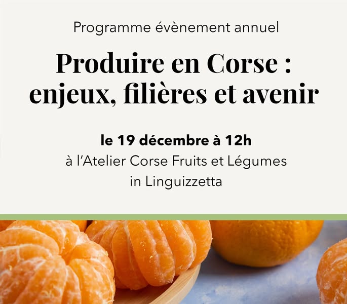 FemuQuì : la plateforme qui révolutionne l'accès à l'entrepreneuriat féminin