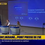 Grippe aviaire : la Commission européenne signale un premier cas de transmission à l'homme en Italie