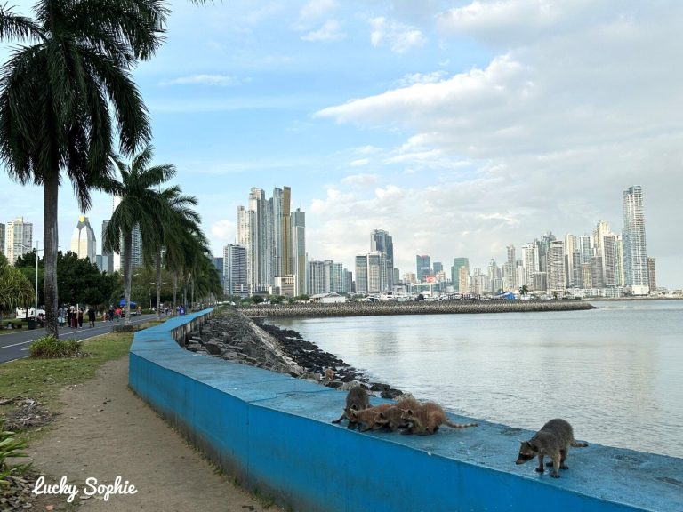 Guide pratique pour visiter Panama City en 3 jours - Blog de voyage Lucky Sophie
