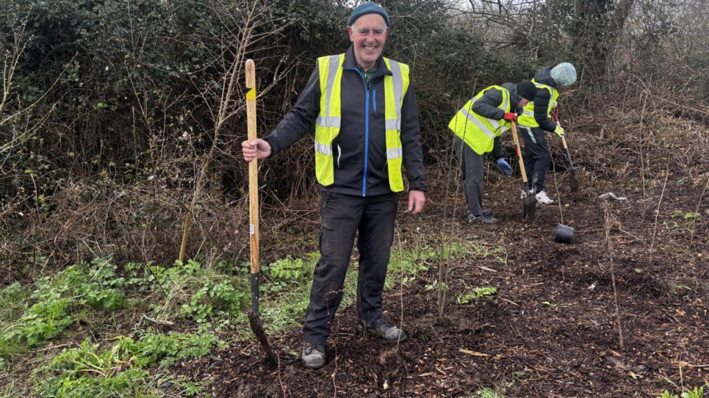 Journée internationale des forêts : l'Irlande face au défi du reboisement