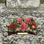 Parti Socialiste de Poitiers : tensions entre Pince-mi et Pince-moi révélées