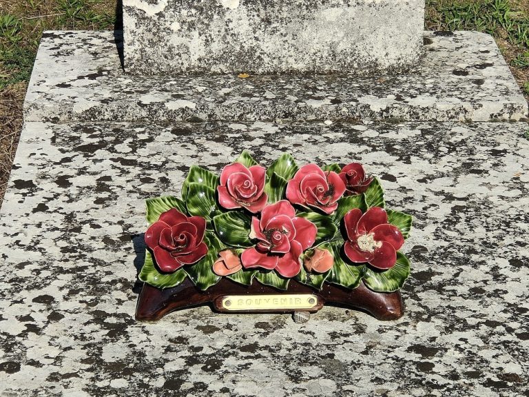 Parti Socialiste de Poitiers : tensions entre Pince-mi et Pince-moi révélées