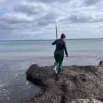 Journée mondiale de la Posidonie : sensibilisation à la préservation des herbiers marins