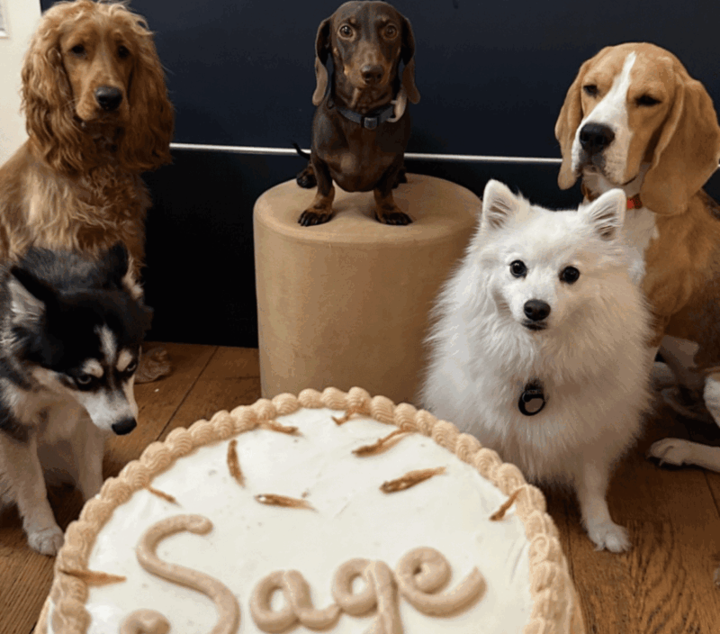 Gateau d'anniversaire fait par Barkette