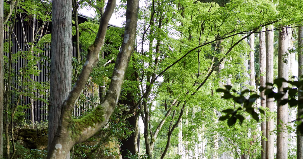 Imperial Hotel à Tokyo et Aman à Kyoto : exploration des palaces emblématiques du Japon