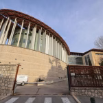 « Je n’ai jamais voulu le voler » : les prévenus nient avoir « kidnappé » le chien Uki à Cannes