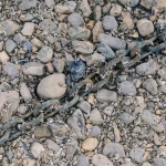 La Terre atteint un niveau record de chaleur accumulée en 2025, alerte l'ONU