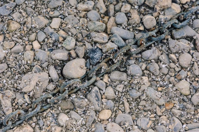 La Terre atteint un niveau record de chaleur accumulée en 2025, alerte l'ONU