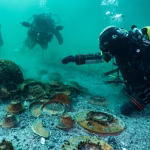 Lac de Neuchâtel : Découverte de centaines d'objets romains immergés