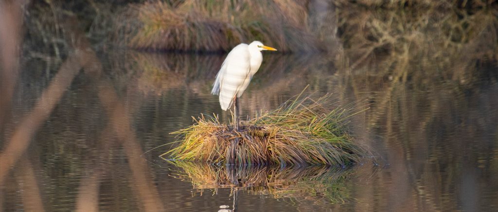 Pêche au Gué de selle : création d’une association et nouvelle carte de pêche