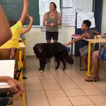 Le collège de Tahaa a son chien d’accompagnement à la réussite scolaire, un projet inédit