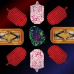 Des cellules îlots implantables pourraient contrôler le diabète sans injections d'insuline.