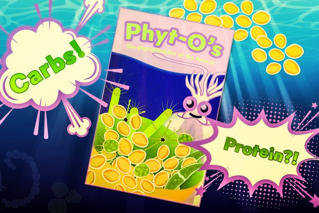 Le changement climatique pourrait favoriser le phytoplancton de type 'fast-food'