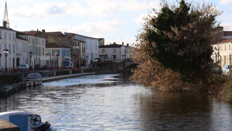 "Marans est une vraie pépite, mais on ne le sait pas" : les ambitions de son nouveau maire pour "libérer" Marans - ICI