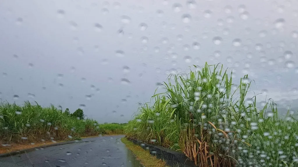 Météo : un lundi sous un ciel majoritairement nuageux et frais
