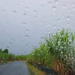 Météo : un lundi sous un ciel majoritairement nuageux et frais