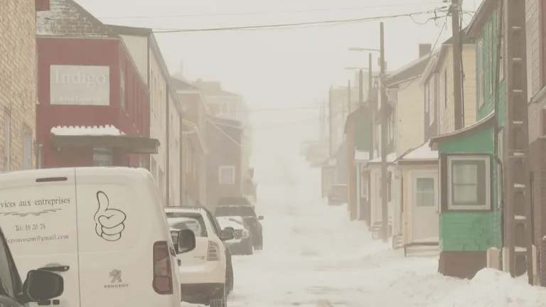 Neige et vents violents : fermetures d'écoles et d'administrations à Saint-Pierre-et-Miquelon