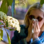 Alertes personnalisées pour les allergiques en Occitanie pendant la saison des pollens