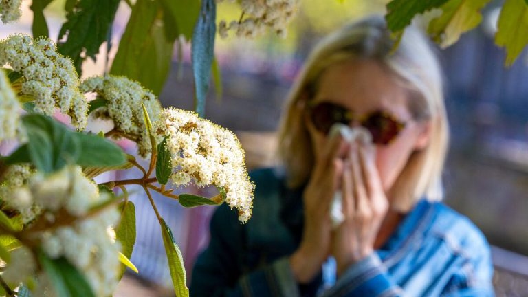 Alertes personnalisées pour les allergiques en Occitanie pendant la saison des pollens