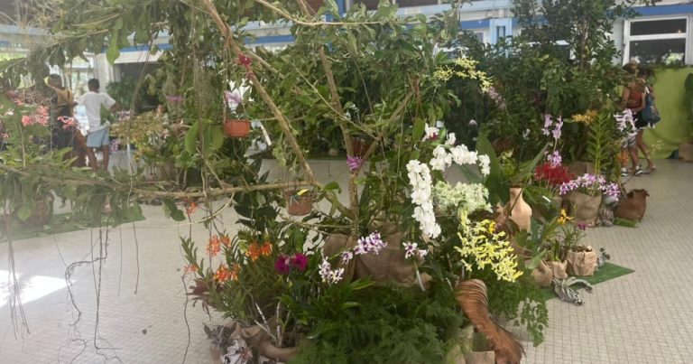 Orchid Expo : les passionnés d’orchidées au rendez-vous à Fort-de-France