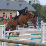 Un millier de visiteurs pour le Jumping du Blavet à Hennebont . Sport