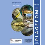 Plan de gestion des poissons migrateurs en Corse : les actions du Pôle lagunes