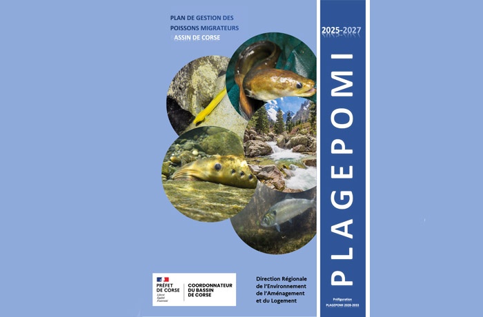Plan de gestion des poissons migrateurs en Corse : les actions du Pôle lagunes
