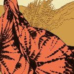 [Le temps des livres] Rencontre avec Zoé Rivière - 26 mars 2026