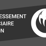 Redressement judiciaire de Kylotonn, Cyanide, Spiders et Nacon Tech : responsabilités des dirigeants en question