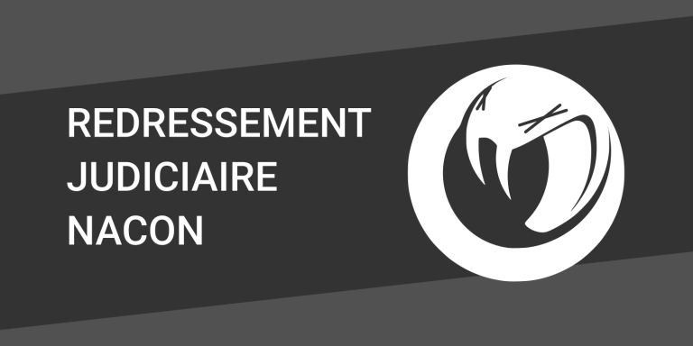 Redressement judiciaire de Kylotonn, Cyanide, Spiders et Nacon Tech : responsabilités des dirigeants en question