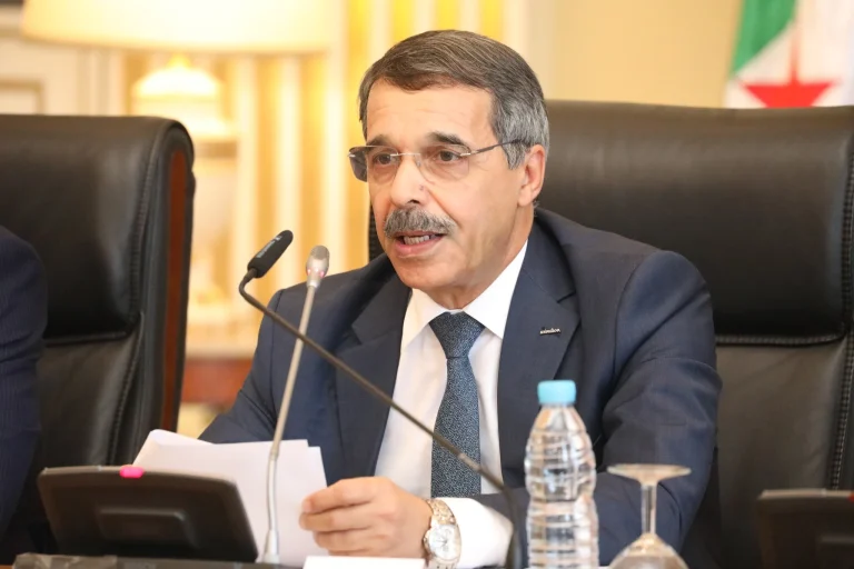 Réforme socio-économique en Algérie : mesures sur salaires, aides et logement pour la classe moyenne