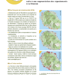 Gestion des Perruches à collier : Retours d'expérience et bonnes pratiques