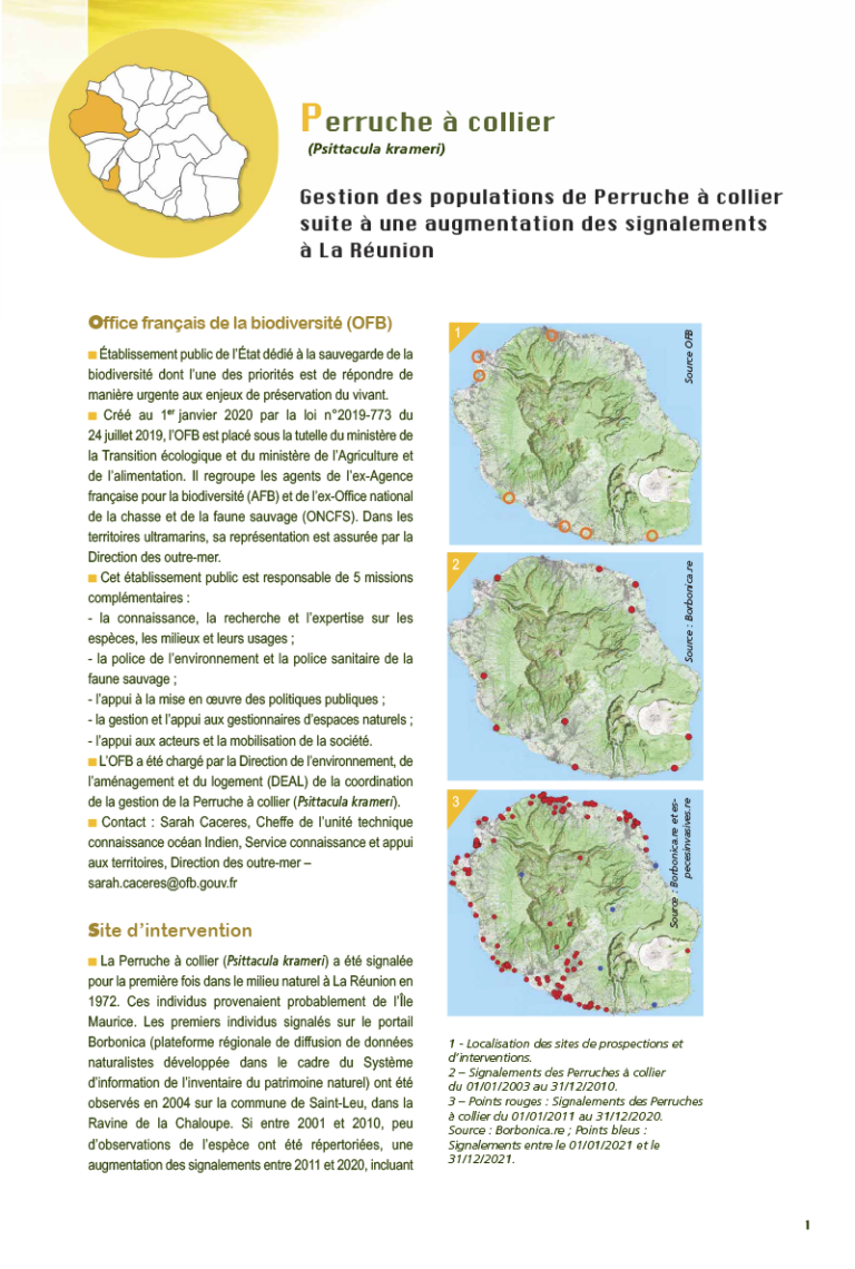 Gestion des Perruches à collier : Retours d'expérience et bonnes pratiques