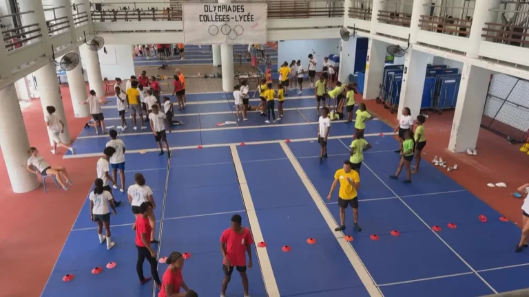 Sport et excellence à l’honneur pour la 3ᵉ édition des Olympiades Collèges-Lycée à Rivière-Salée