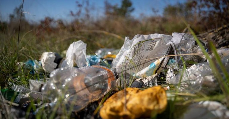 Delphine Caamano : La pollution plastique touche tous les endroits de la planète