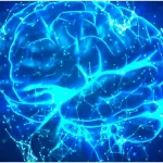 Semaine du cerveau en mars : au CHU de Martinique, plusieurs pathologies liées aux neurones sont prises en charge, dont l’épilepsie