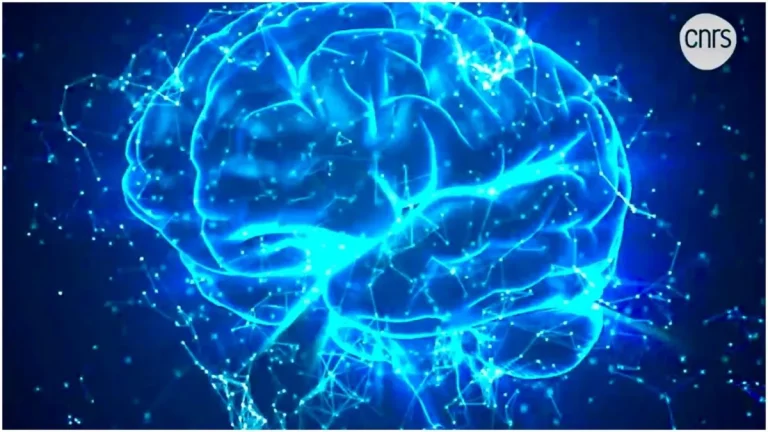 Semaine du cerveau en mars : au CHU de Martinique, plusieurs pathologies liées aux neurones sont prises en charge, dont l’épilepsie