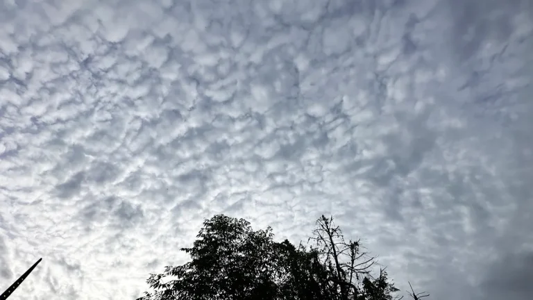 Soleil le matin, averses orageuses l'après-midi dans les montagnes