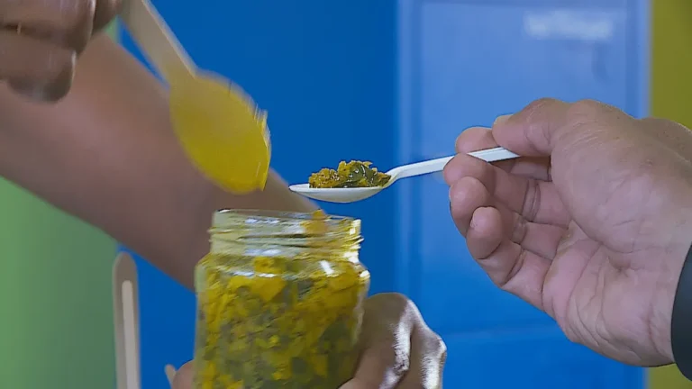 Tartare de gombo ou algues wakamé : les surprises gustatives des portes ouvertes du lycée agricole de Taravao