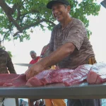 Thon rouge à 500 xpf, requins et douceur de vivre : immersion au cœur du marché de Taiohae