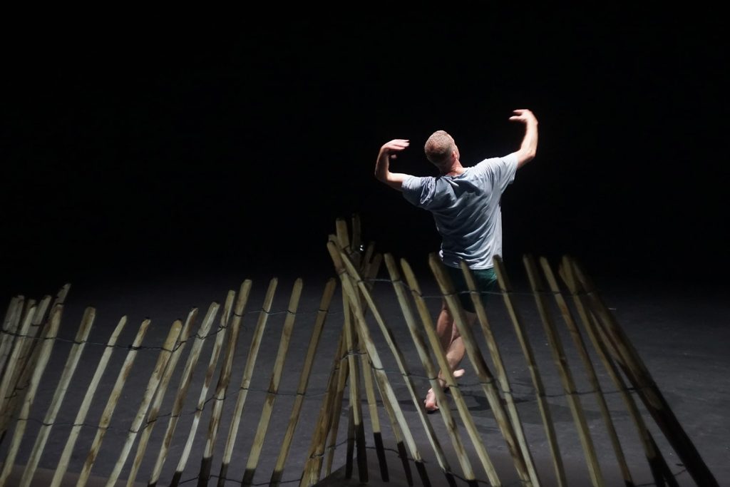 Troglodyte - Zaungast/Zaunkönig - 03 avr. 2026 - 04 avr. 2026