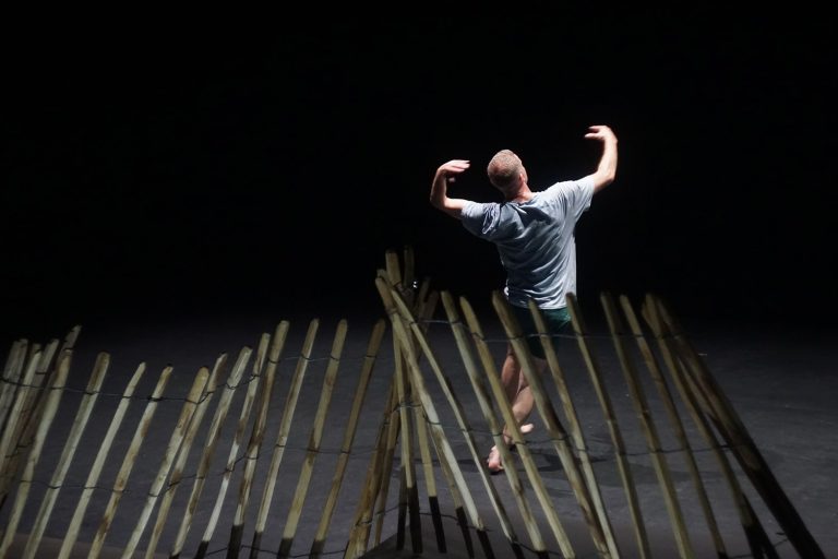 Troglodyte - Zaungast/Zaunkönig - 03 avr. 2026 - 04 avr. 2026