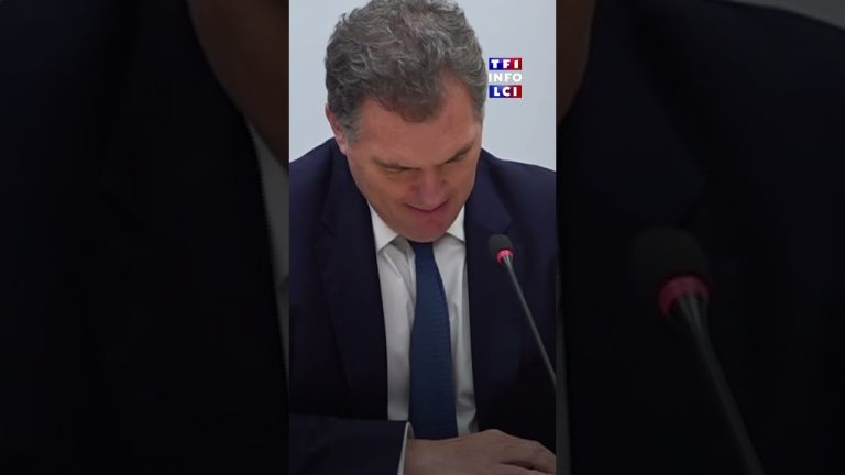 Un épisode neigeux majeur s'annonce en France, selon le ministre